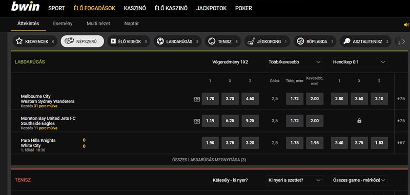 bwin online sportfogadás